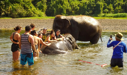 Students pose for a photo while bathing the elephants at Elephants World elephant sanctuary on Jan. 10, 2024.